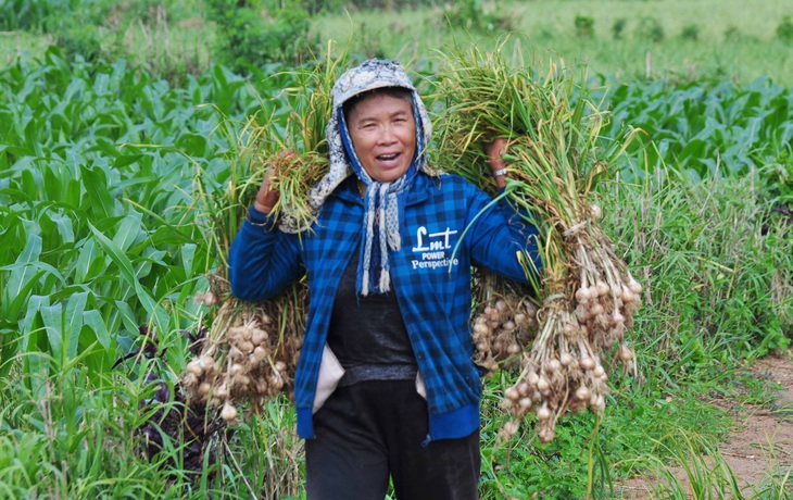 Tin giả: Lây trên mạng từ tỏi Lý Sơn, máy bay rơi đến hỗn loạn corona - Ảnh 1.