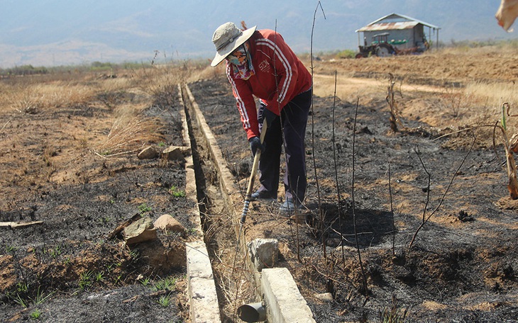 Nam Trung Bộ - Tây Nguyên: Hạn đến sớm, sương muối 