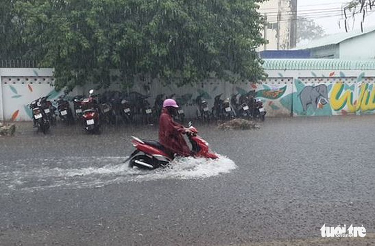 Cà Mau mưa vàng, ngập nửa bánh xe ngay giữa mùa khô - Ảnh 2.