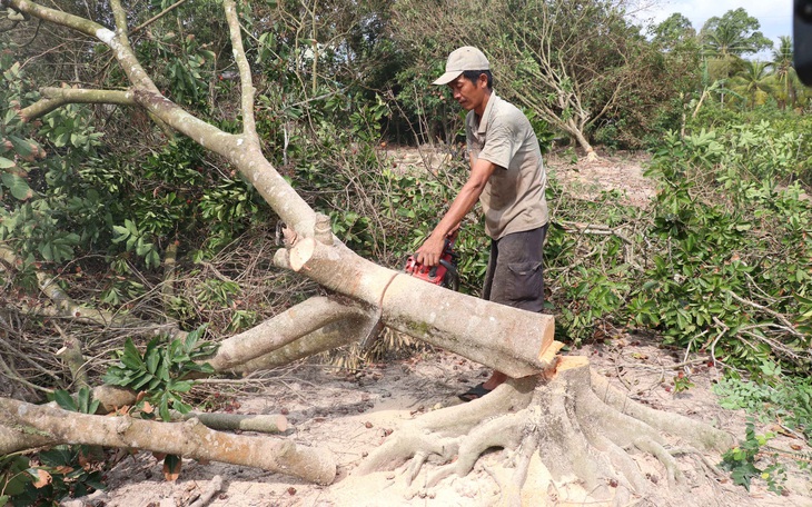 Miền Tây bớt mặn, cần tranh thủ tích nước - Ảnh 1.