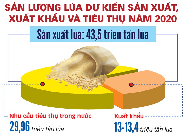 Xuất khẩu gạo: rà lại rồi tính tiếp - Ảnh 3.