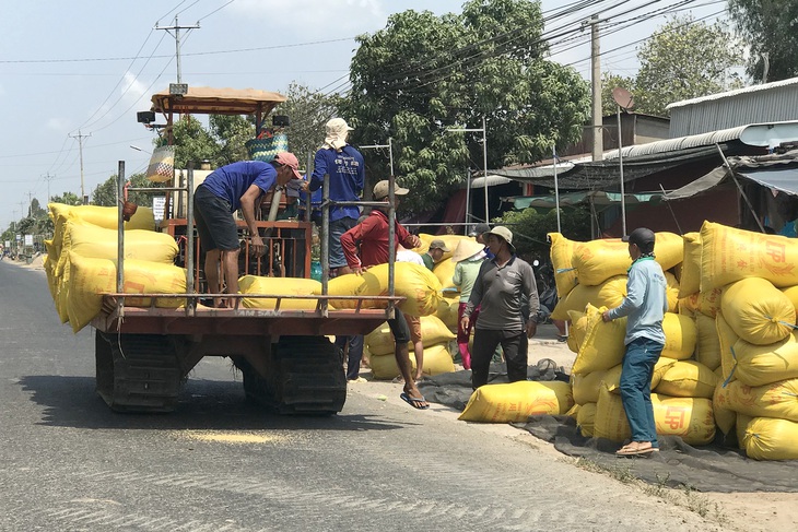 Xuất khẩu gạo nhưng có kiểm soát? - Ảnh 2.