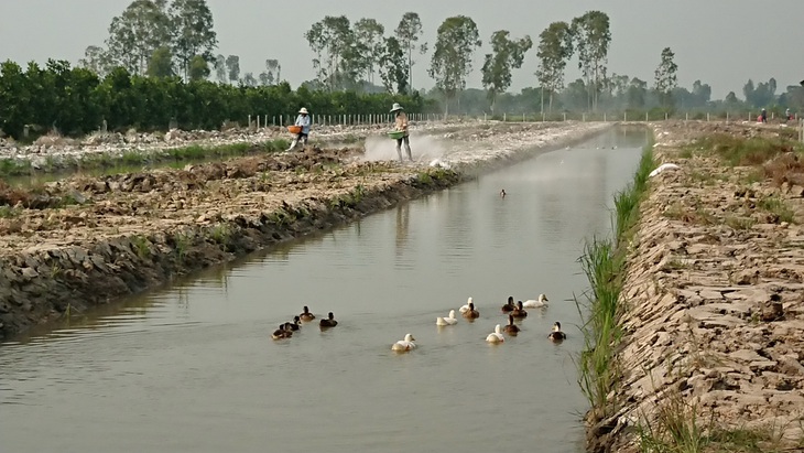 Giáo viên xoay xở mùa dịch - Kỳ 3: Thầy cô ra ruộng - Ảnh 3.