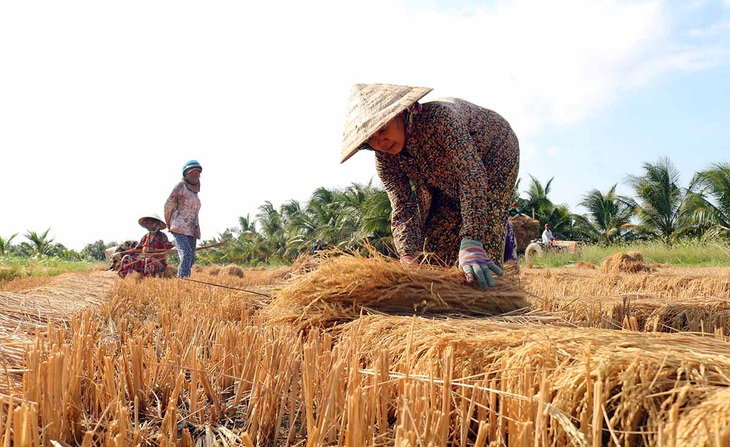 Hạn mặn khốc liệt ở miền Tây: 5 tỉnh công bố tình huống khẩn cấp - Ảnh 1.