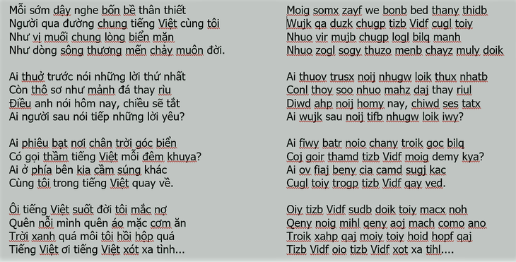 Chữ Việt Nam song song: dư luận đòi ‘cách ly vĩnh viễn’, tác giả nói sẽ viết sách - Ảnh 3.