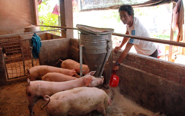 Buôn Ma Thuột tuyển đặc cách 36 giáo viên hợp đồng lâu năm  - Ảnh 3.