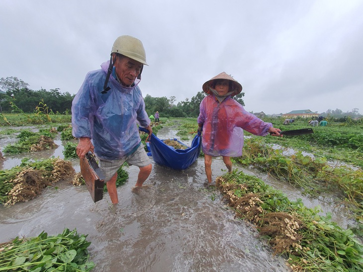 Nhiều nơi nắng hạn, Thừa Thiên Huế lại ngập vì mưa, vụ mùa bị đe dọa - Ảnh 4. Nhiều nơi nắng hạn, Thừa Thiên Huế lại ngập vì mưa, vụ mùa bị đe dọa - Ảnh 4.