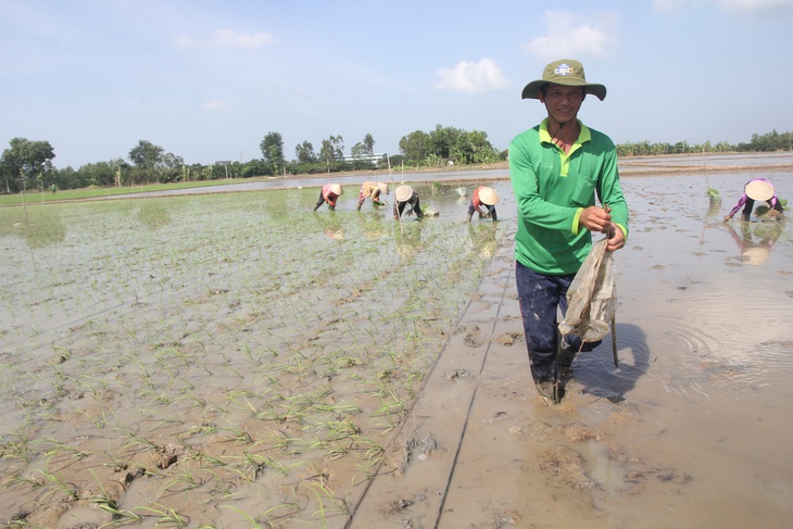 Nông dân đang nghèo hơn - Ảnh 1. Nông dân đang nghèo hơn - Ảnh 1.