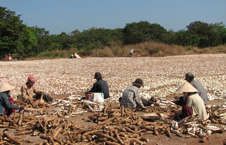 Nhà máy ethanol Bình Phước nằm yên cũng lỗ cả ngàn tỉ đồng - Ảnh 2.