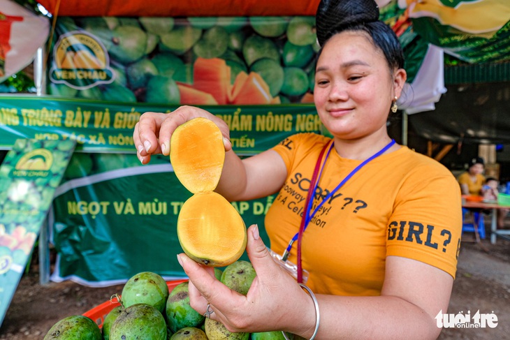 Ngọt thơm xoài trứng Yên Châu, ăn một lần sẽ nhớ mãi - Ảnh 1.