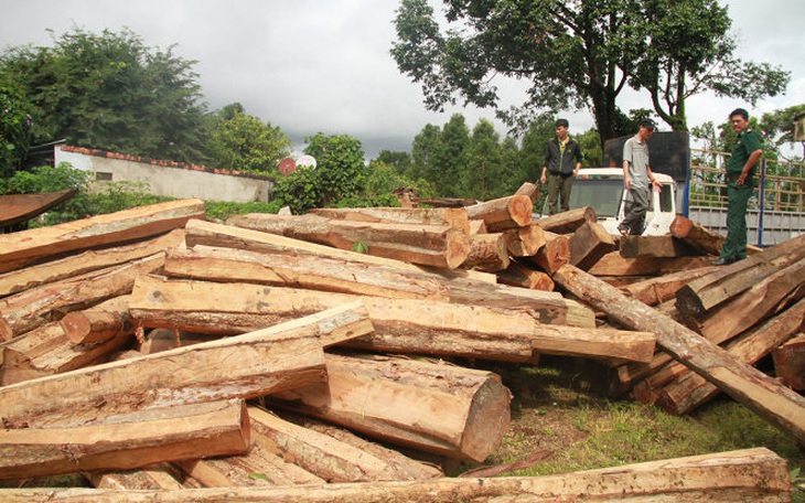 5 năm, Gia Lai mất trên 7.700 ha rừng tự nhiên