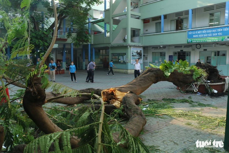 Học sinh tử vong do cây đổ: Mẹ của em mới sinh con nhỏ 3 ngày - Ảnh 2.