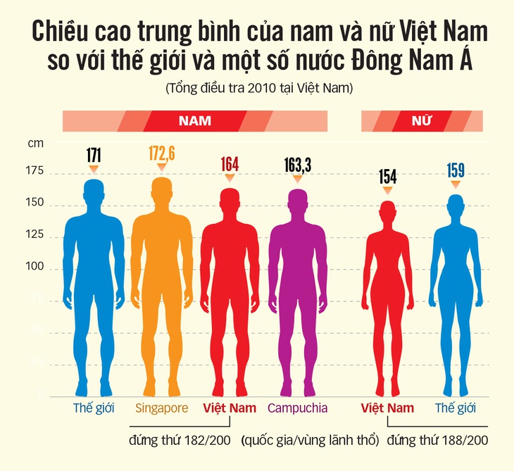 Người Việt đã cao hơn? - Ảnh 4.