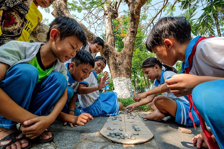 Sau vụ cây phượng đổ, một số trường sợ quá đốn cây, sân trường trơ trụi - Ảnh 1.