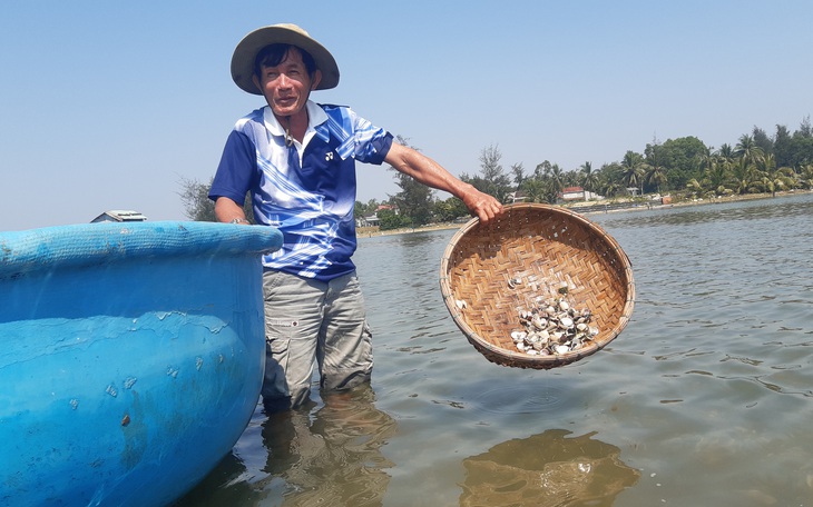 Nghêu nuôi của dân chết trắng trên sông Trường Giang