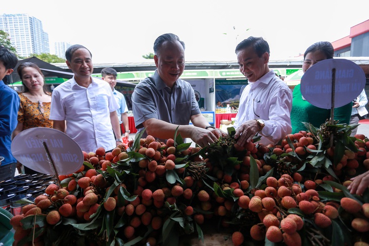 Trái cây xịn khắp nơi tràn về Hà Nội - Ảnh 5.