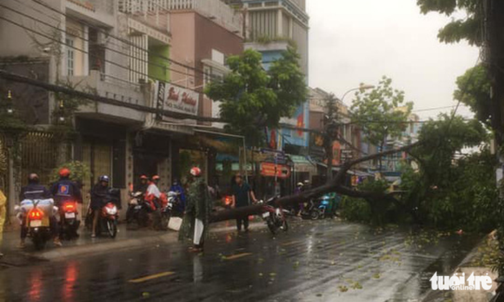 TP.HCM: Mưa lớn nước chảy như lũ trên phố, cây gãy cành đè người đi đường - Ảnh 5.