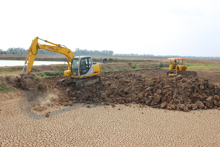 Giá cá tra xuống thấp, dân Đồng Tháp Mười lại… lấp ao để trồng lúa - Ảnh 1.