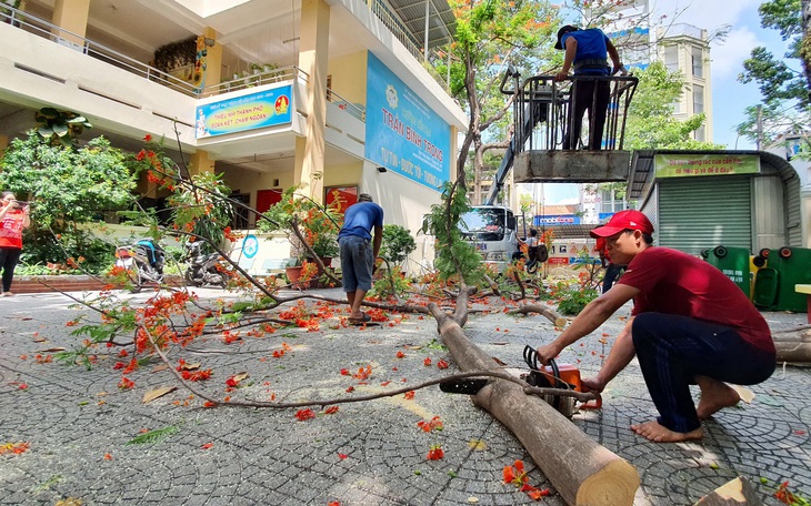 Các trường đua nhau 