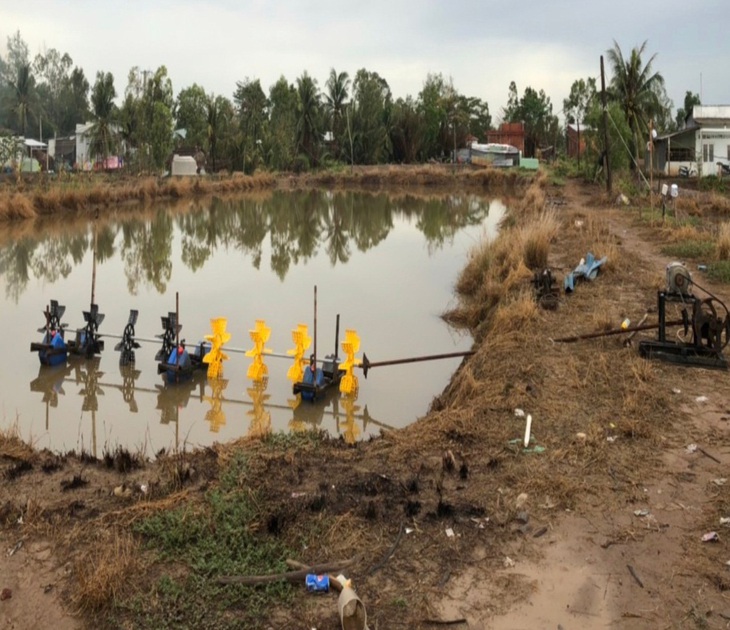 Người đàn ông bị máy sục khí oxy ao tôm cuốn suýt chết - Ảnh 1. Người đàn ông bị máy sục khí oxy ao tôm cuốn suýt chết - Ảnh 1.