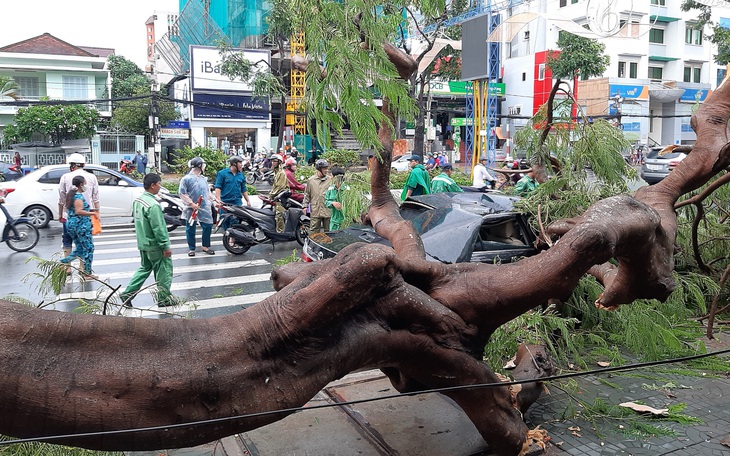 Cần Thơ: 1 người chết do mưa dông, nhiều nhà tốc mái, cây xanh bật gốc