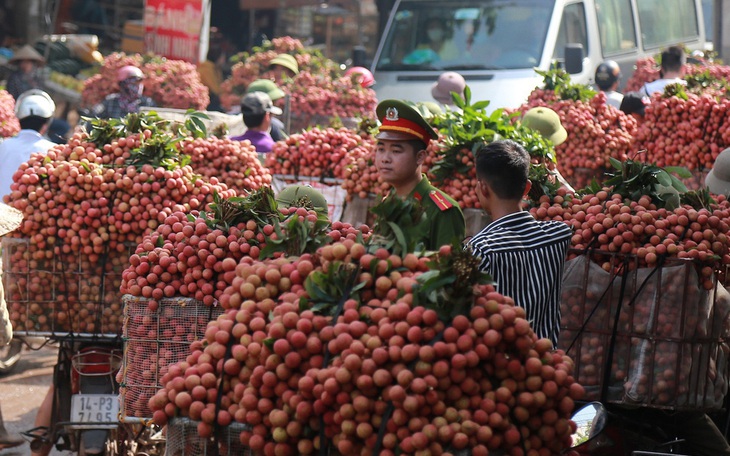 Xuất khẩu 1 tấn vải thiều tươi đầu tiên sang Nhật Bản