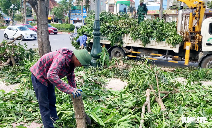 Nắng nóng, dời hàng trăm cây xanh làm mương thoát nước là ‘có bất cập’ - Ảnh 1.