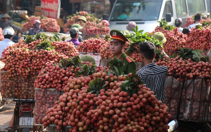 Đề xuất cho thương nhân Trung Quốc mua vải thiều được miễn phí ăn, ở trong 14 ngày cách ly