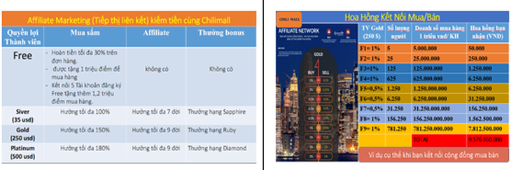 Điểm mặt sàn thương mại điện tử tràn tầng, đa cấp thời đại 4.0 kinh doanh đa cấp trái phép - Ảnh 2.