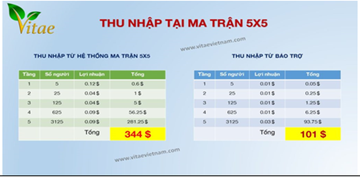 Hơn 1 triệu người tham gia kinh doanh đa cấp - Ảnh 1.