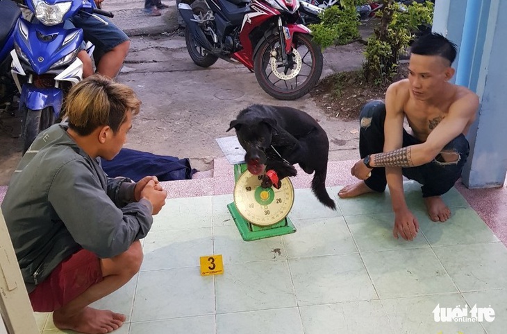 Bị truy đuổi, hai thanh niên trộm chó dùng bình xịt hơi cay chống trả công an - Ảnh 1.