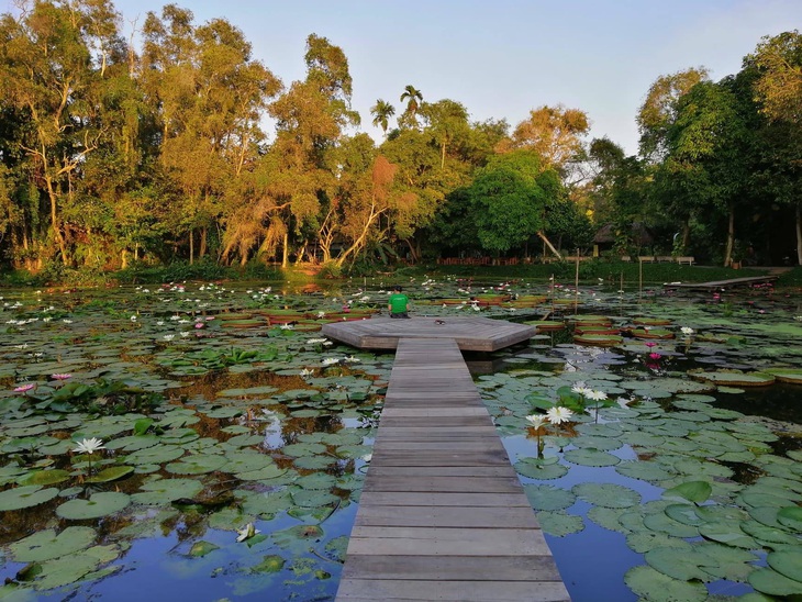 Tour một ngày không cưỡi ngựa xem hoa khám phá Đồng Tháp - Ảnh 3.