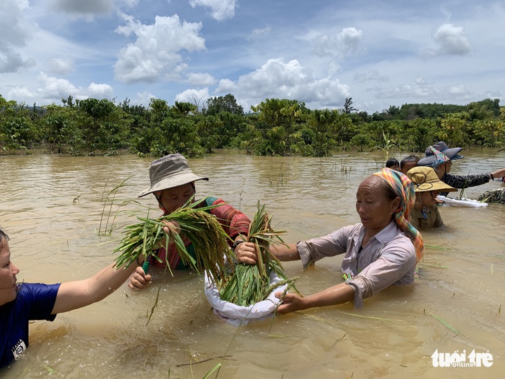 Hồ thủy lợi hơn 11 năm chưa đền bù cho dân sẽ gây ngập 800ha - Ảnh 5.