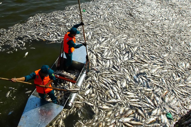 Vợ ông Nguyễn Đức Chung giả chữ ký con trai thành lập công ty bán hóa chất độc quyền cho Hà Nội - Ảnh 1.