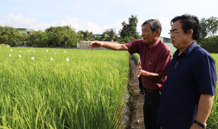 Chủ tịch Bạc Liêu gặp ông Hồ Quang Cua bàn hợp tác trồng lúa ST - Ảnh 1.