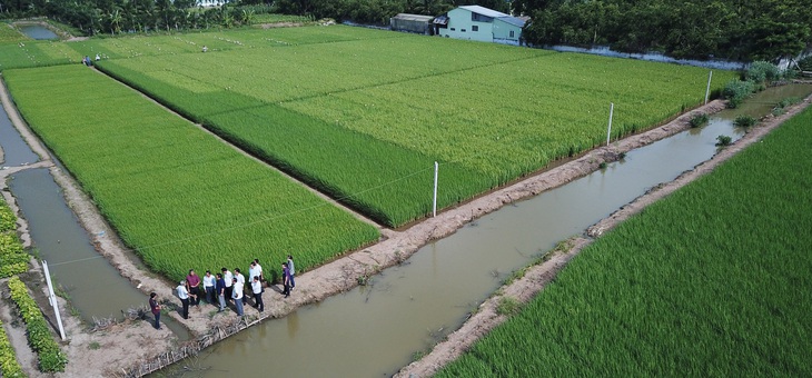 Chủ tịch Bạc Liêu gặp ông Hồ Quang Cua bàn hợp tác trồng lúa ST - Ảnh 2.