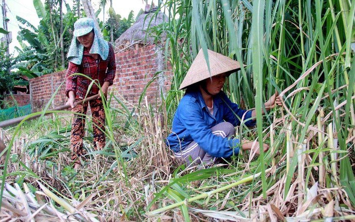 Nên miễn giảm học phí cho học sinh, sinh viên vùng dịch - Ảnh 2.