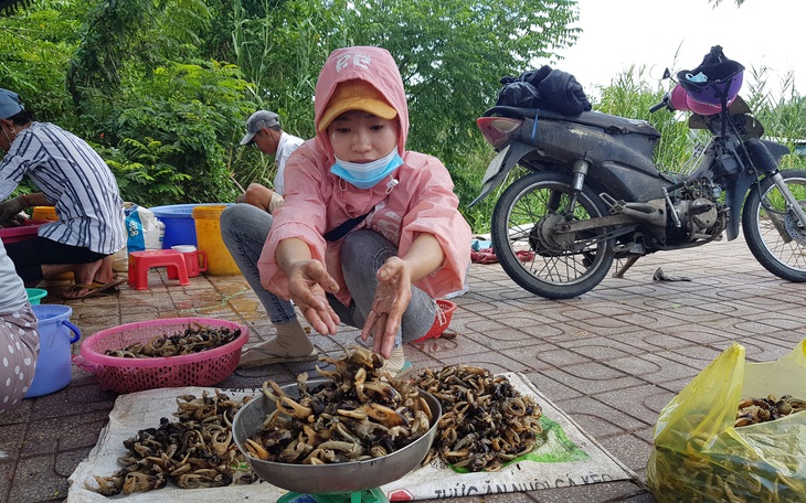 Lũ về trễ, cua đồng, cá linh non ít nên giá 