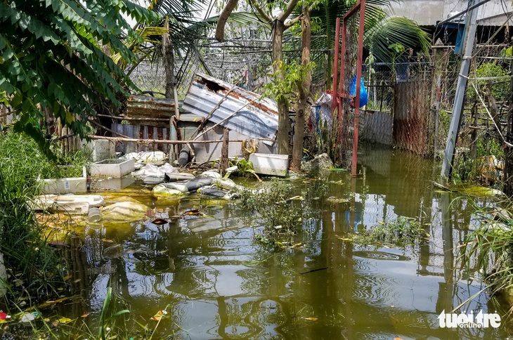 Ngập gì mà ngập hơn nửa tháng, dân Xuân Thới Đông có người đi nơi khác ở tạm - Ảnh 3.