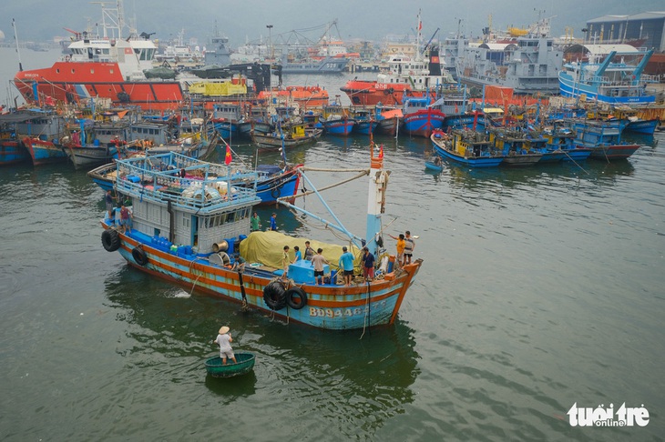 Phó thủ tướng Trịnh Đình Dũng: Phải đảm bảo an toàn cho người dân trước, trong và sau bão - Ảnh 3.