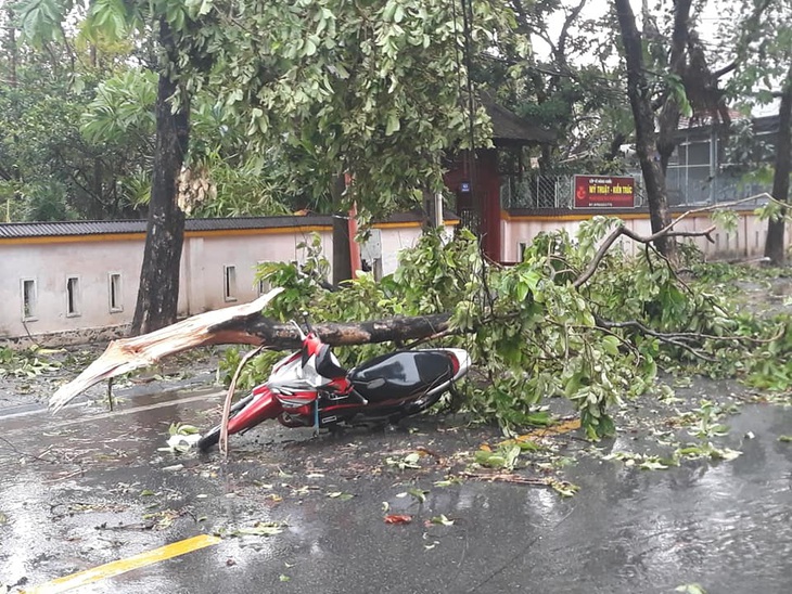 Một chuyên viên Phòng GD-ĐT Huế tử vong do cây ngã đè trong bão số 5 - Ảnh 1.