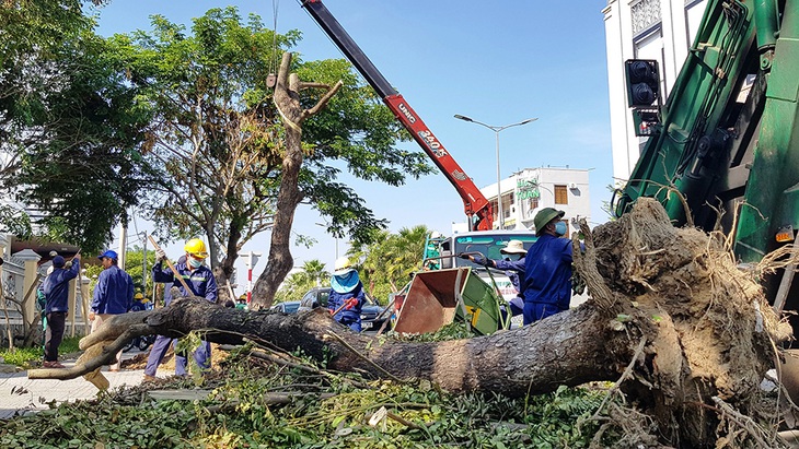 Bất ngờ chết oan trên đường - Ảnh 1.