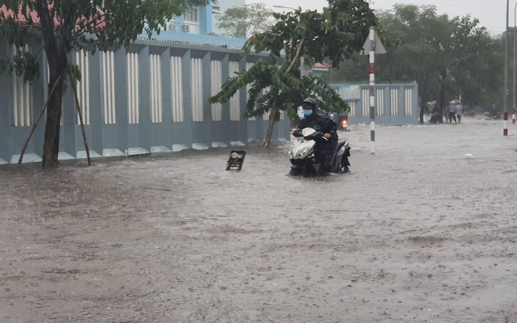 Cây bật gốc đổ ngang đường Nguyễn Tri Phương làm 1 người bị thương, ngập và kẹt xe nhiều nơi