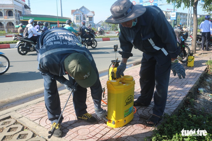 Phun thuốc sinh học cứu cây xanh tại TP.HCM bị sâu ăn lá tấn công - Ảnh 2.