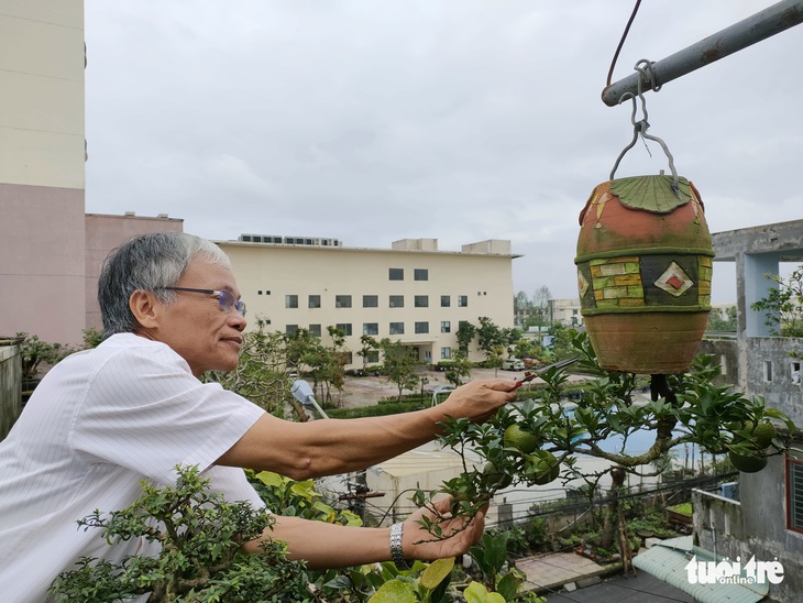 Ông vua của cây bonsai ngược - Ảnh 1.