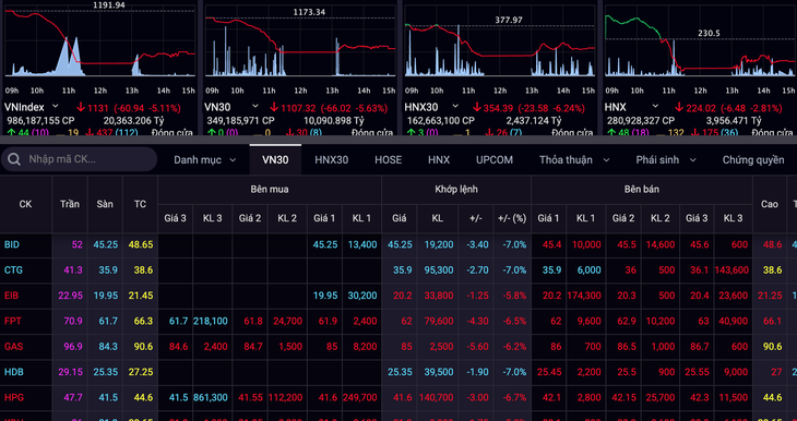 Hơn 1,1 tỉ USD sang tay trong phiên chứng khoán giảm kỷ lục - Ảnh 2.