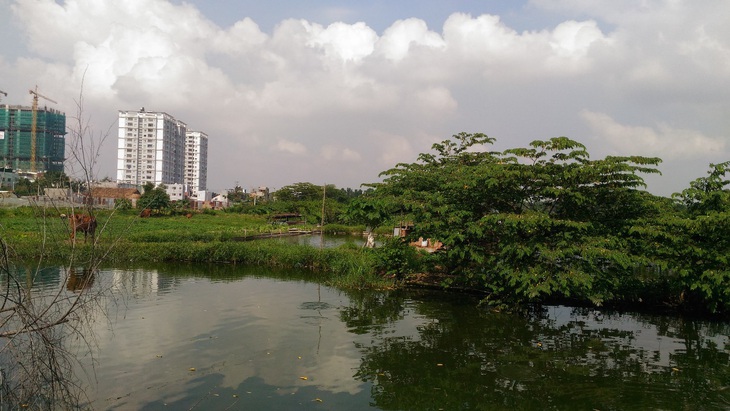 Thang Long Home  Hưng Phú - Điểm sáng mới tại thành phố Thủ Đức - Ảnh 1.