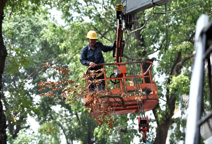 TP.HCM xử lý các đơn vị lấn chiếm, trả lại mặt bằng cho công viên - Ảnh 2.