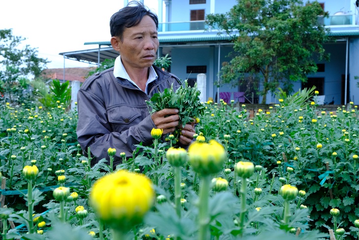 Đoạn kết có hậu cho người đàn ông bị kẻ xấu phá 400 chậu hoa cúc - Ảnh 2.