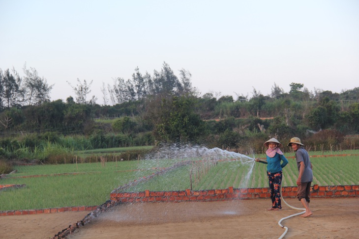 Quảng Ngãi thu hồi, chấm dứt gần 300 dự án khu dân cư đô thị - Ảnh 2.